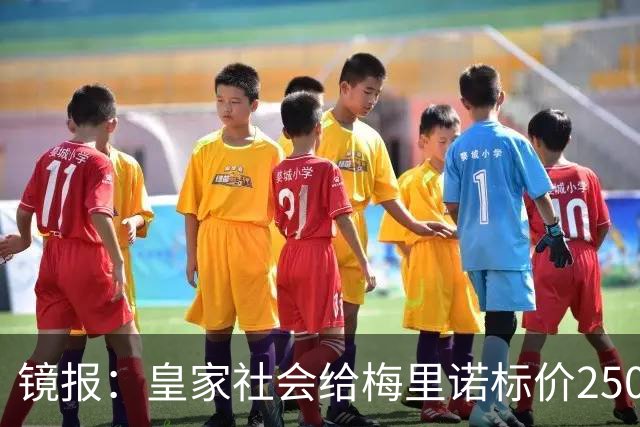 镜报：皇家社会给梅里诺标价2500万镑